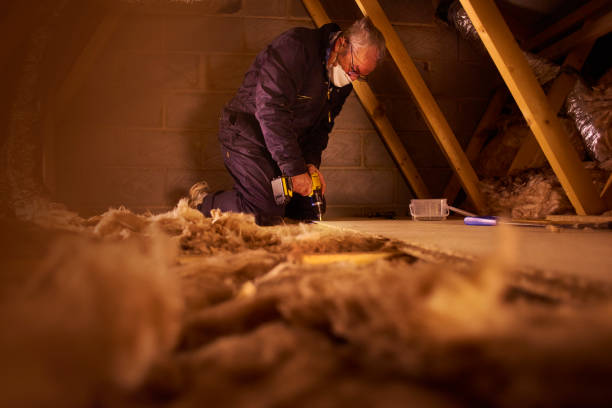 Professional Insulation Installation & Removal in Farmville, VA